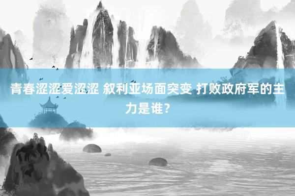 青春涩涩爱涩涩 叙利亚场面突变 打败政府军的主力是谁？