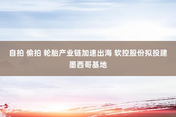 自拍 偷拍 轮胎产业链加速出海 软控股份拟投建墨西哥基地