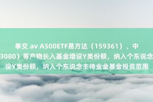 拳交 av A500ETF易方达（159361）、中证A50ETF易方达（563080）等产物长入基金增设Y类份额，纳入个东说念主待业金基金投资范围