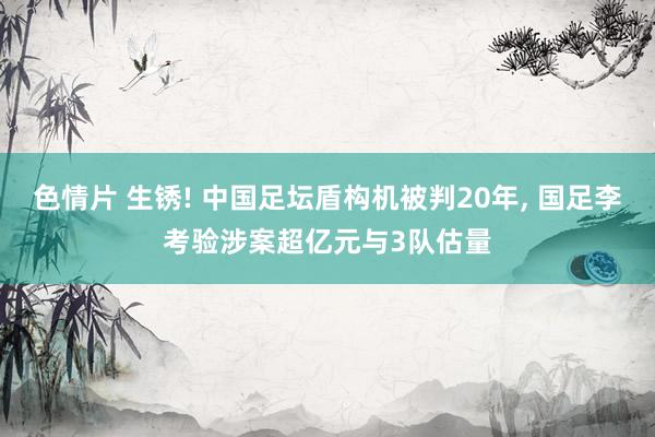 色情片 生锈! 中国足坛盾构机被判20年， 国足李考验涉案超亿元与3队估量