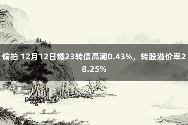 偷拍 12月12日燃23转债高潮0.43%，转股溢价率28.25%