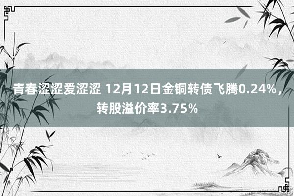 青春涩涩爱涩涩 12月12日金铜转债飞腾0.24%，转股溢价率3.75%