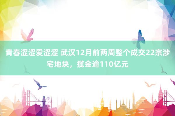 青春涩涩爱涩涩 武汉12月前两周整个成交22宗涉宅地块，揽金逾110亿元