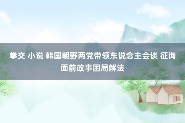 拳交 小说 韩国朝野两党带领东说念主会谈 征询面前政事困局解法