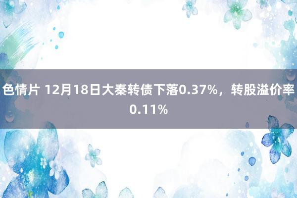 色情片 12月18日大秦转债下落0.37%，转股溢价率0.11%