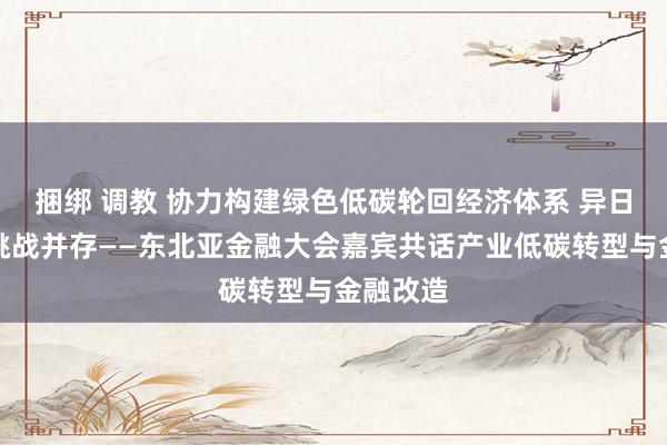 捆绑 调教 协力构建绿色低碳轮回经济体系 异日机遇与挑战并存——东北亚金融大会嘉宾共话产业低碳转型与金融改造