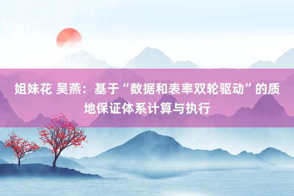 姐妹花 吴燕：基于“数据和表率双轮驱动”的质地保证体系计算与执行