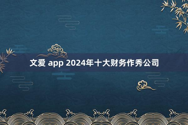 文爱 app 2024年十大财务作秀公司