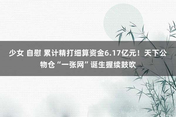 少女 自慰 累计精打细算资金6.17亿元！天下公物仓“一张网”诞生握续鼓吹