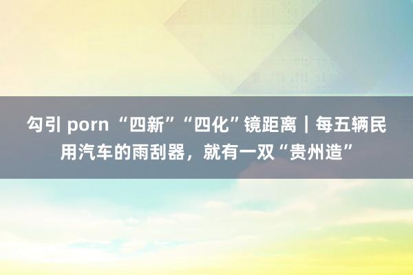 勾引 porn “四新”“四化”镜距离｜每五辆民用汽车的雨刮器，就有一双“贵州造”