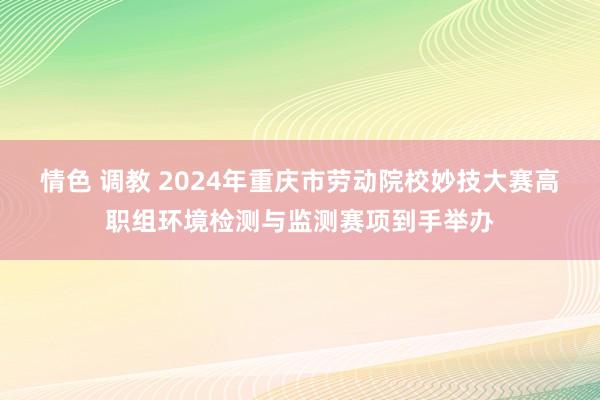 情色 调教 2024年重庆市劳动院校妙技大赛高职组环境检测与监测赛项到手举办