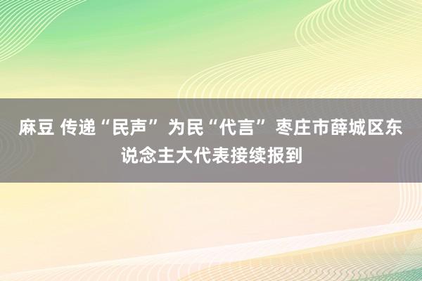 麻豆 传递“民声” 为民“代言” 枣庄市薛城区东说念主大代表接续报到