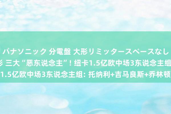 パナソニック 分電盤 大形リミッタースペースなし 露出・半埋込両用形 三大“恶东说念主”! 纽卡1.5亿欧中场3东说念主组: 托纳利+吉马良斯+乔林顿